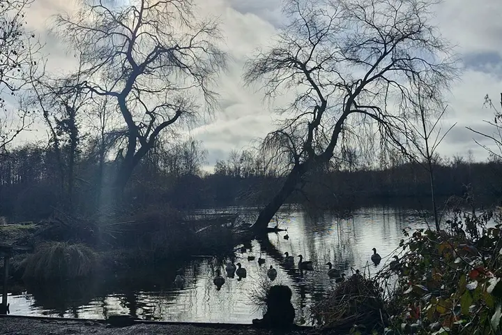 maison/villa 3 pièces à SUZANNE (80340) — photo 18